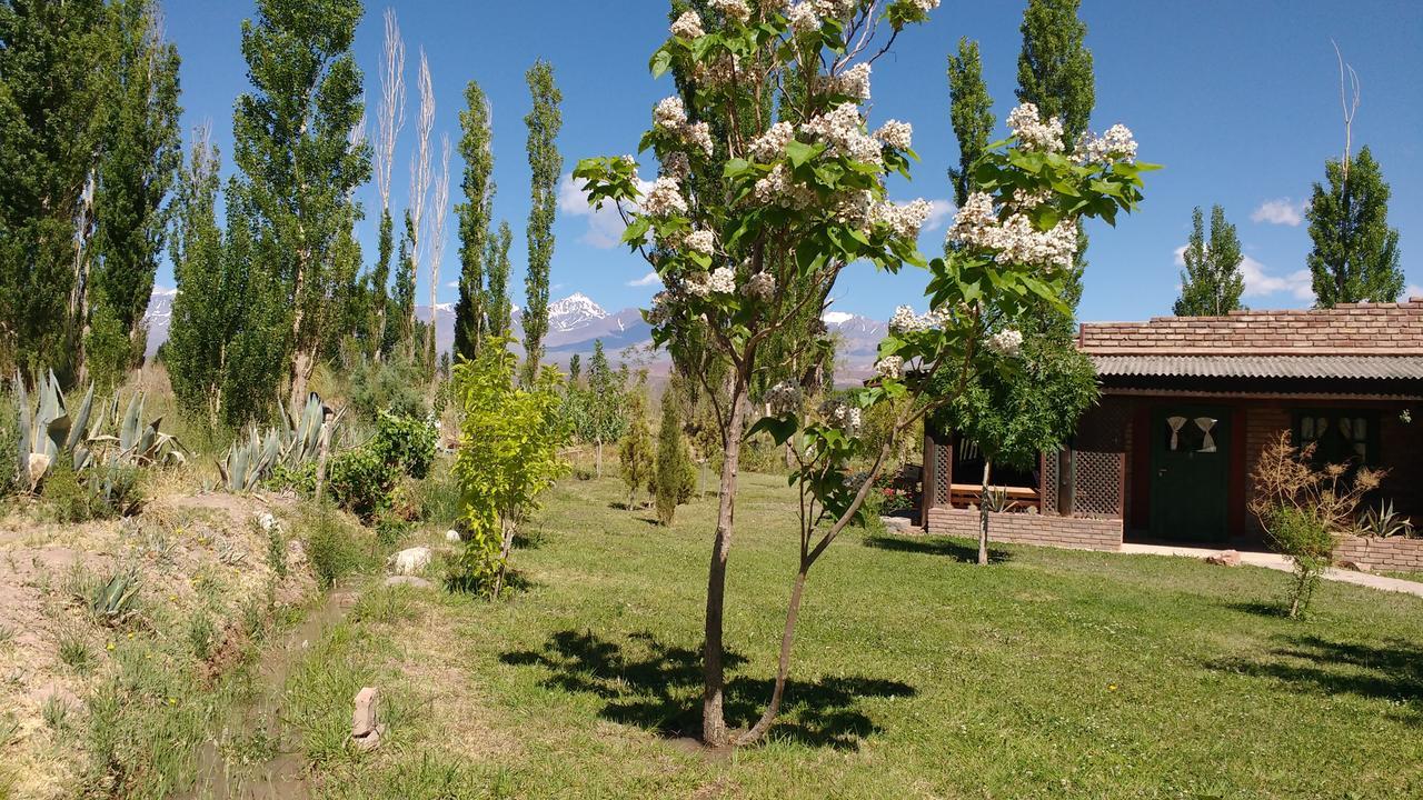El Aleman Aparthotel Barreal Bagian luar foto